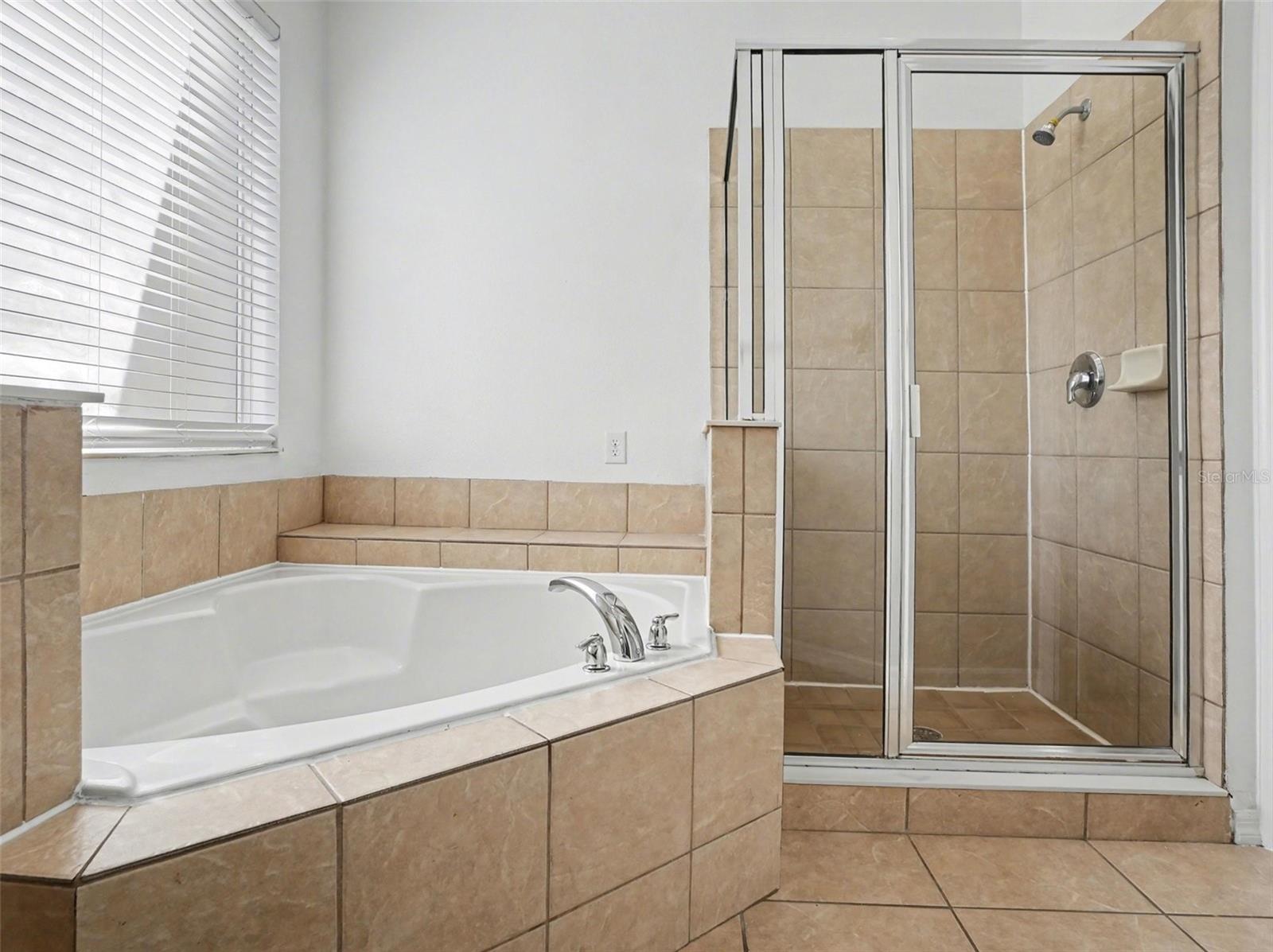 1419 HUNTERMAN LN, WINTER GARDEN, FL, 34787