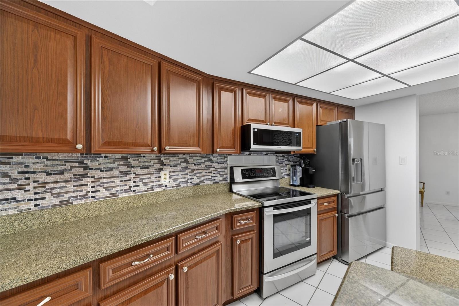 6704 ROSEMARY DR, TAMPA, FL, 33625