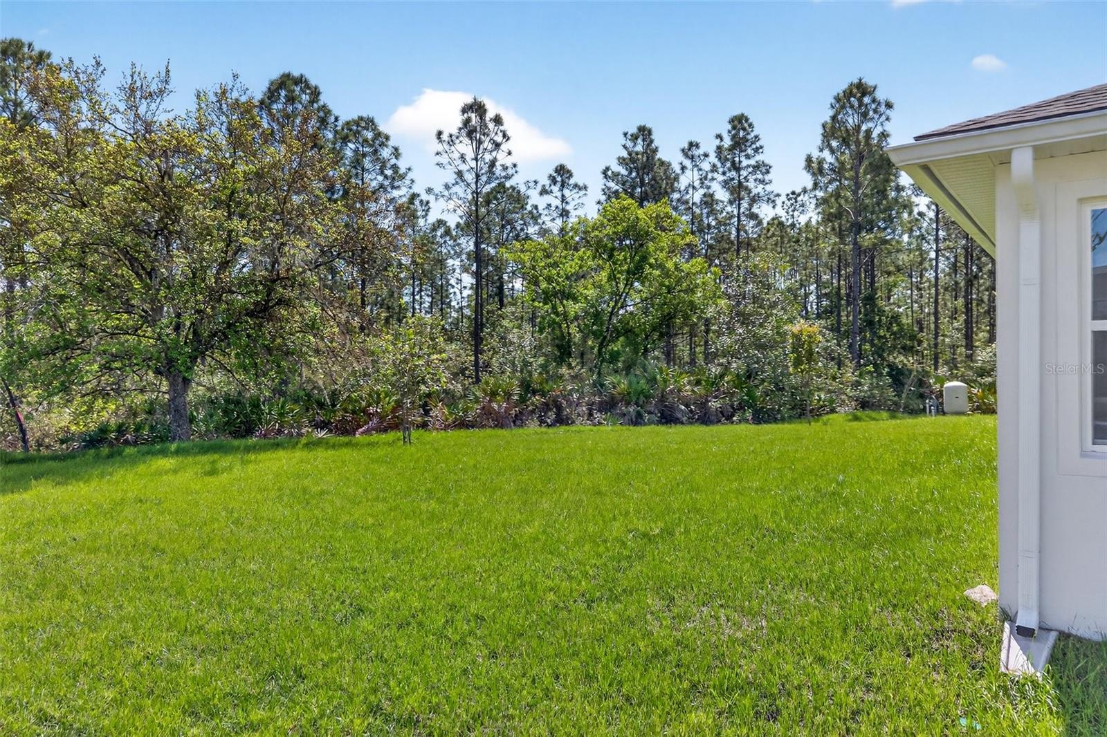 3133 CAVALIER AVE, ORLANDO, FL, 32833