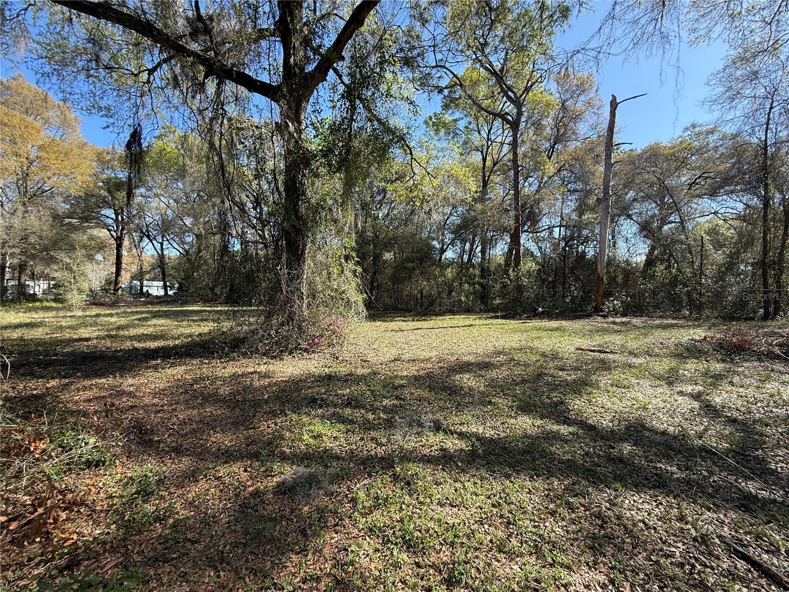 2255 SE 179TH PL, SUMMERFIELD, FL, 34491