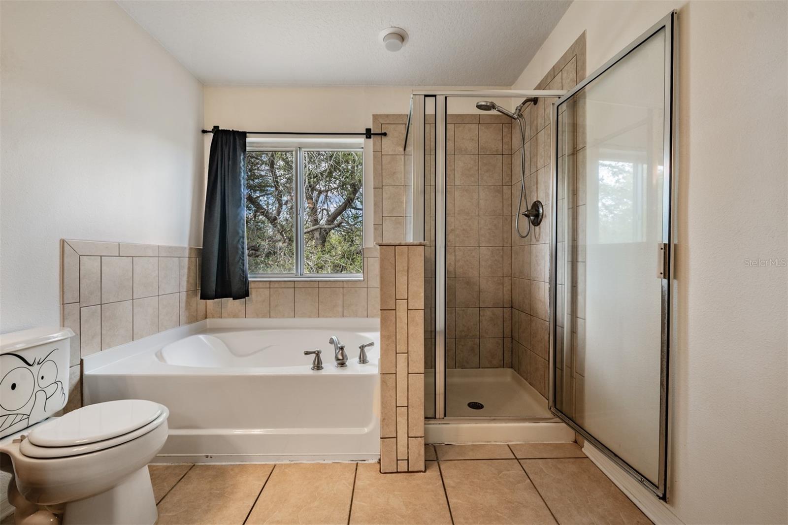 7013 PENTA PL, WESLEY CHAPEL, FL, 33545