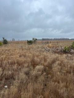 1137 HOPKINS LN, ZOLFO SPRINGS, FL, 33890