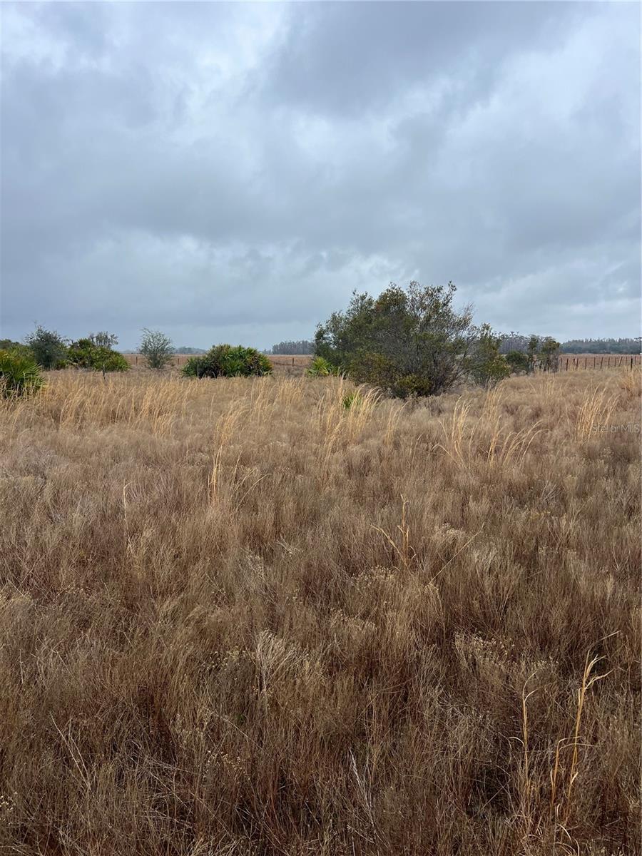 1137 HOPKINS LN, ZOLFO SPRINGS, FL, 33890