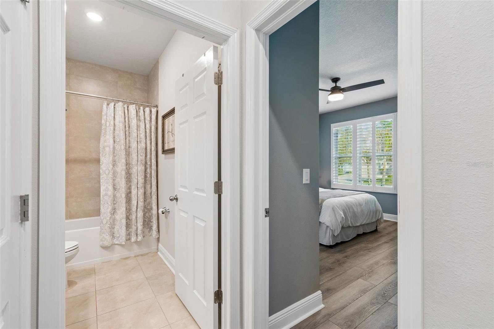 4910 LAKESHORE OAKS CT, TAMPA, FL, 33624