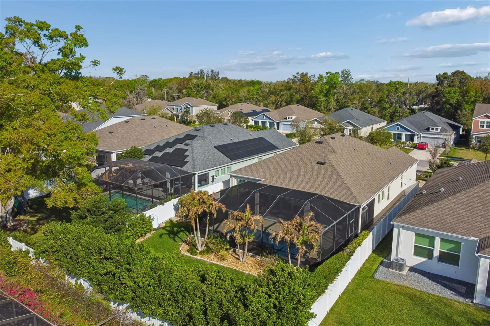 4910 LAKESHORE OAKS CT, TAMPA, FL, 33624