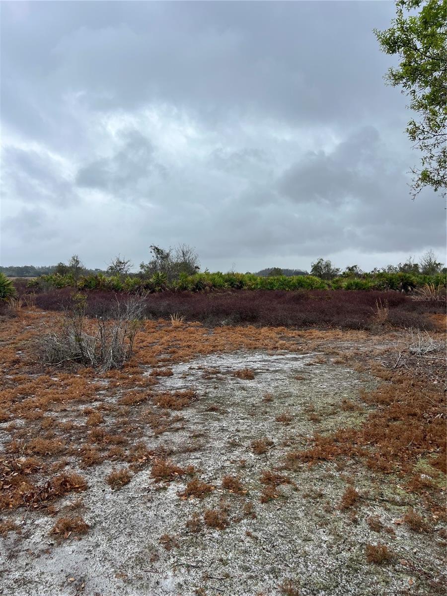 1137 HOPKINS LN, ZOLFO SPRINGS, FL, 33890