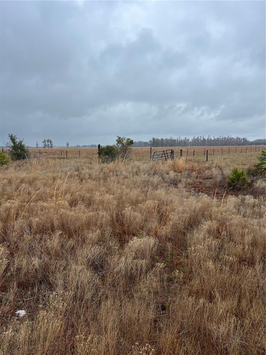 1137 HOPKINS LN, ZOLFO SPRINGS, FL, 33890