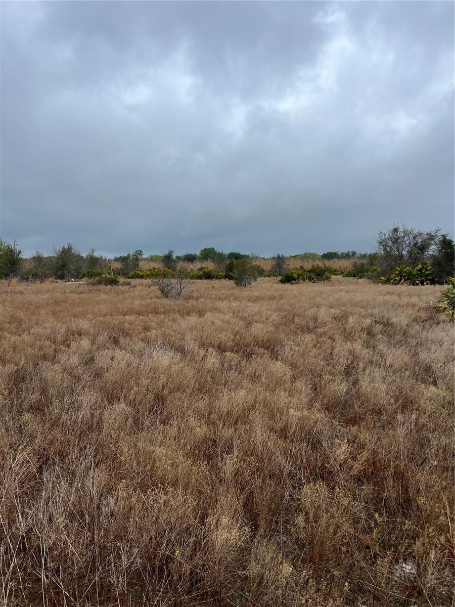 1137 HOPKINS LN, ZOLFO SPRINGS, FL, 33890