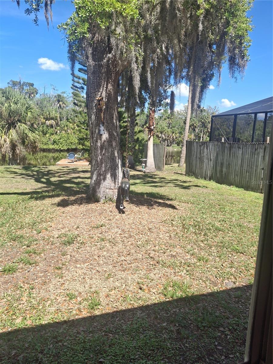 4503 EDITH ST, NEW PORT RICHEY, FL, 34652