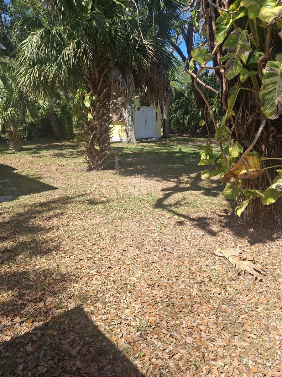 4503 EDITH ST, NEW PORT RICHEY, FL, 34652