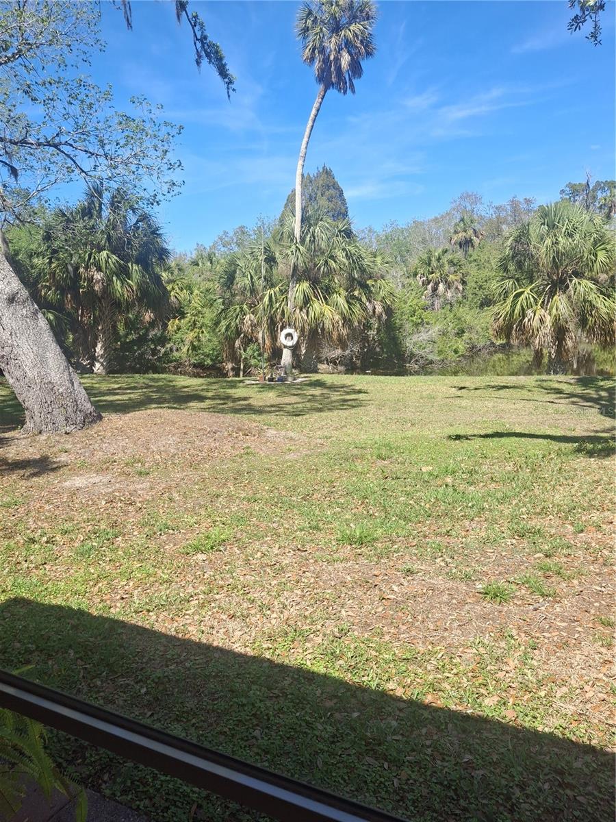 4503 EDITH ST, NEW PORT RICHEY, FL, 34652