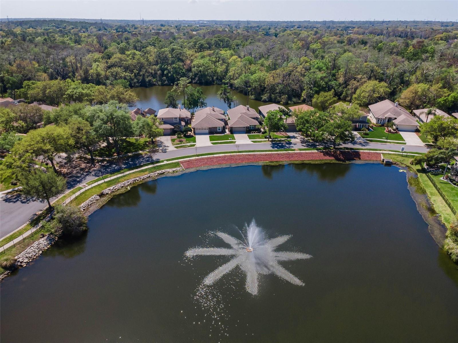 1418 WOODSTREAM DR, OLDSMAR, FL, 34677