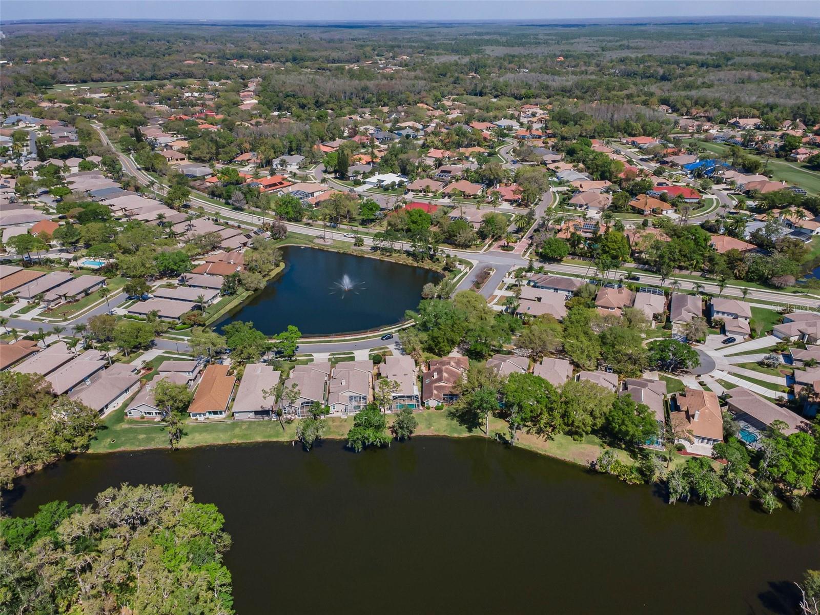1418 WOODSTREAM DR, OLDSMAR, FL, 34677