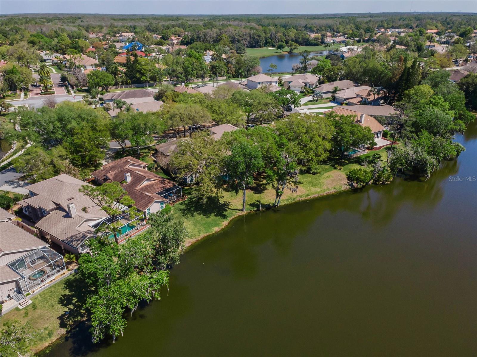 1418 WOODSTREAM DR, OLDSMAR, FL, 34677