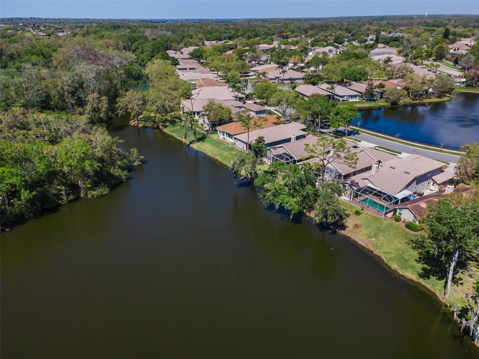 1418 WOODSTREAM DR, OLDSMAR, FL, 34677