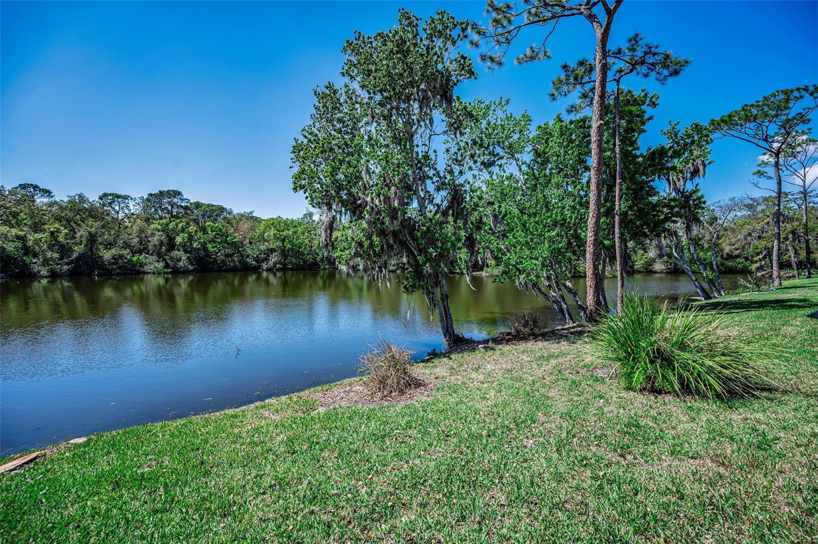 1418 WOODSTREAM DR, OLDSMAR, FL, 34677