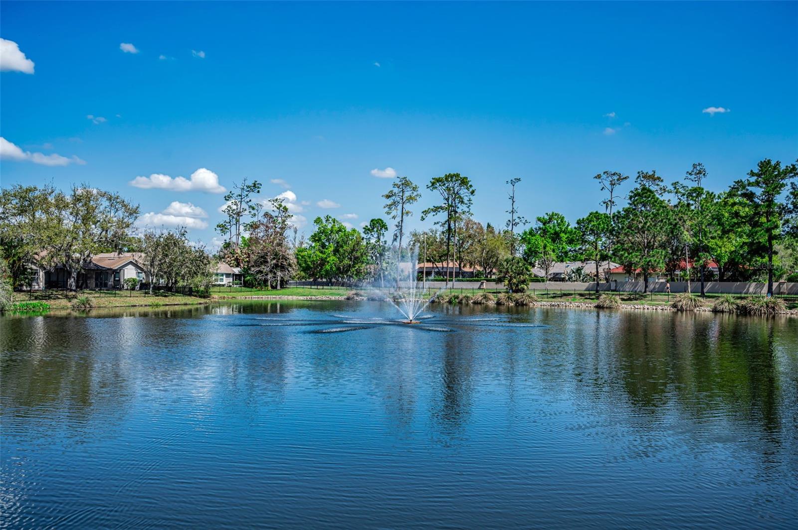 1418 WOODSTREAM DR, OLDSMAR, FL, 34677