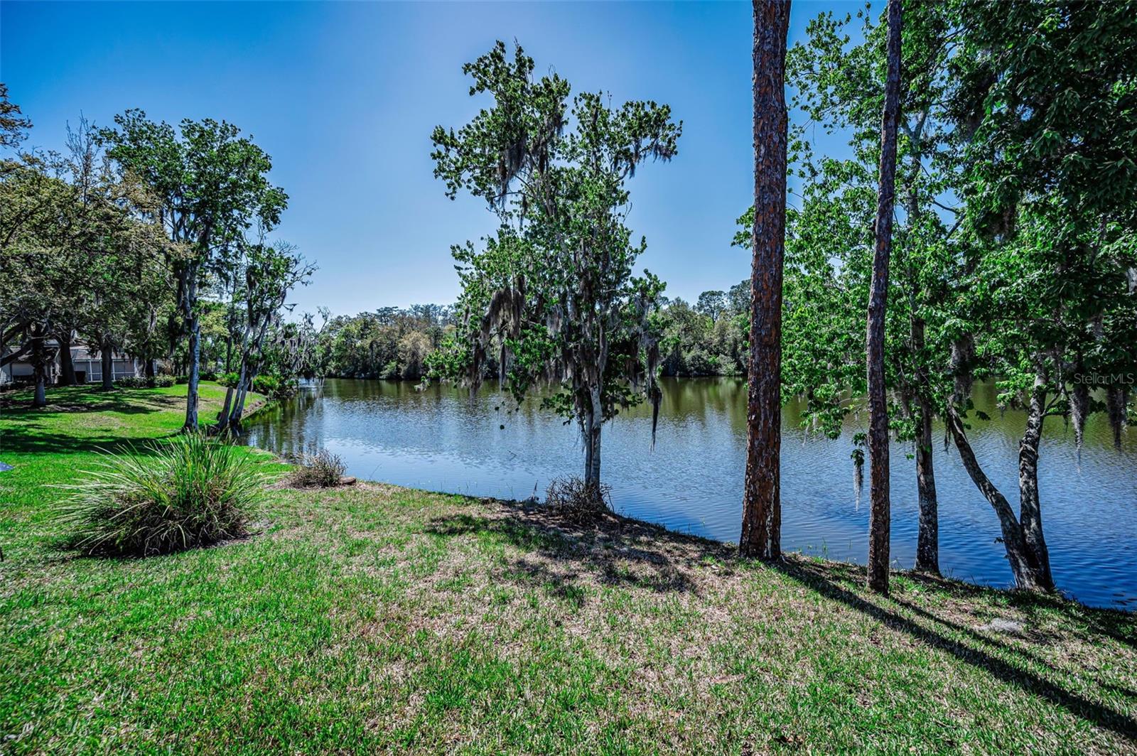 1418 WOODSTREAM DR, OLDSMAR, FL, 34677