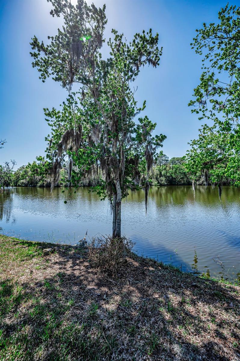 1418 WOODSTREAM DR, OLDSMAR, FL, 34677