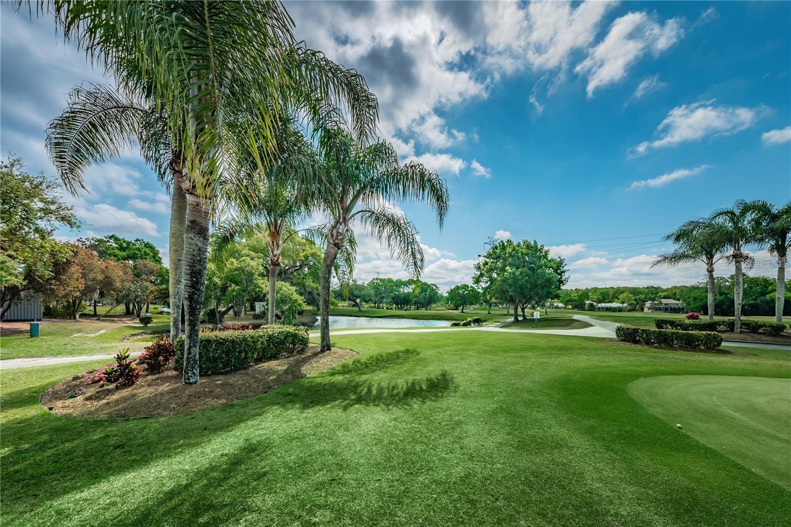 1418 WOODSTREAM DR, OLDSMAR, FL, 34677