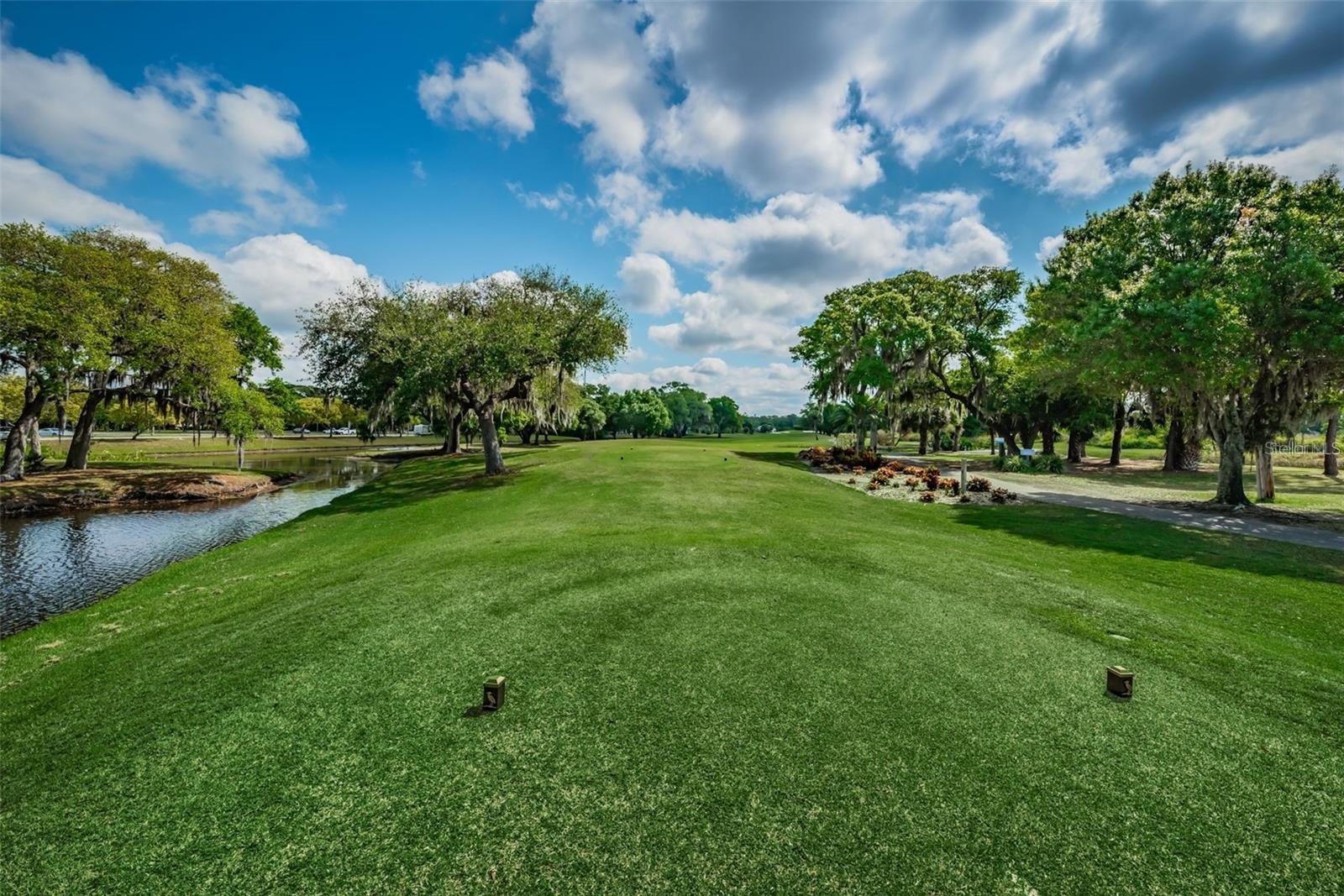 1418 WOODSTREAM DR, OLDSMAR, FL, 34677
