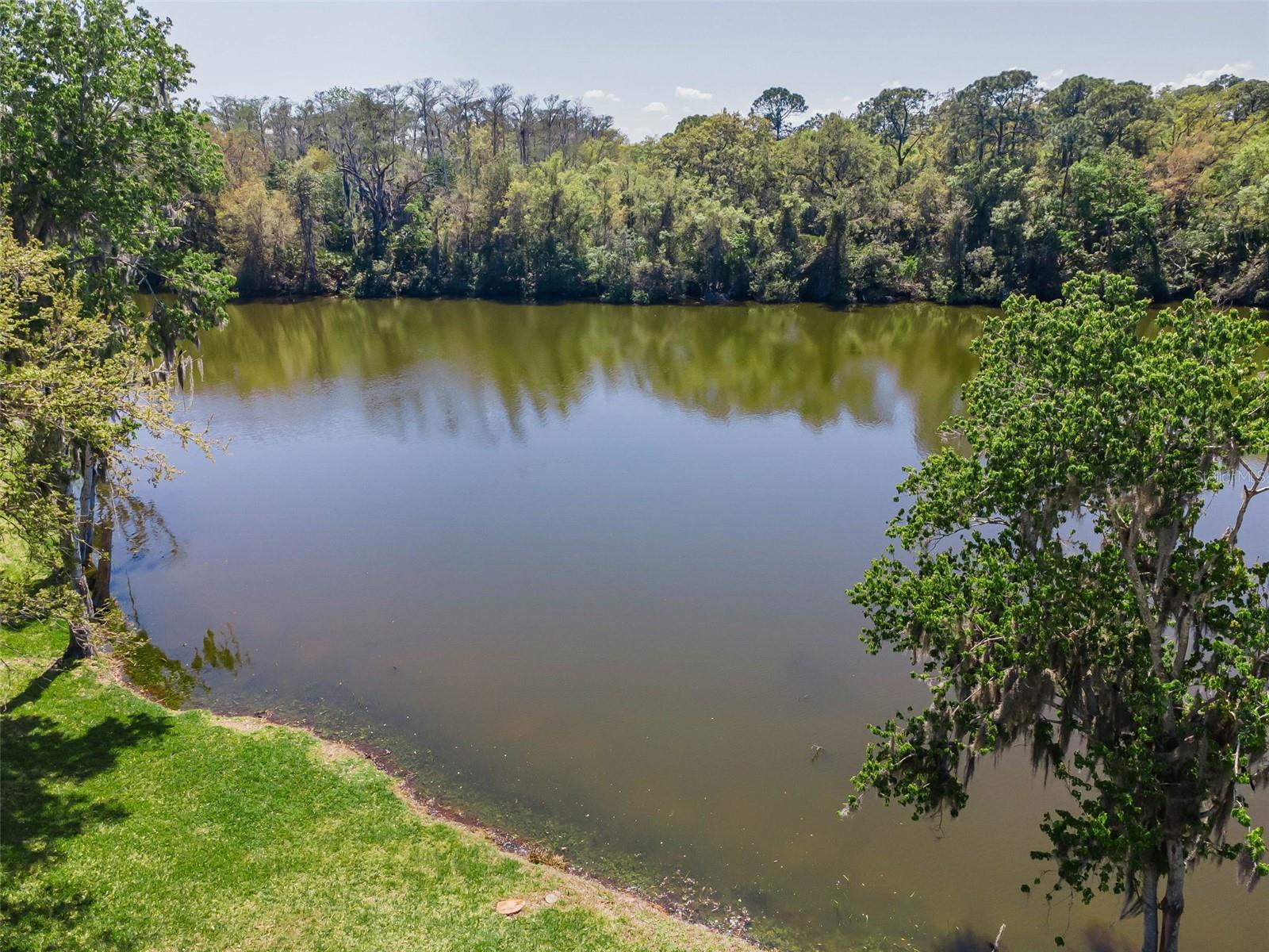 1418 WOODSTREAM DR, OLDSMAR, FL, 34677