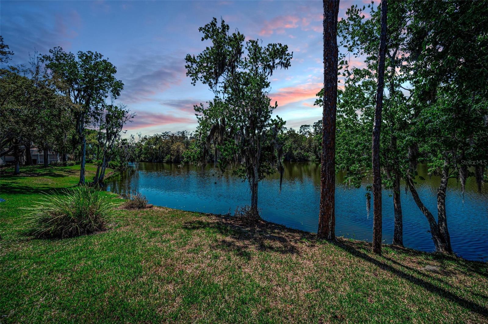 1418 WOODSTREAM DR, OLDSMAR, FL, 34677