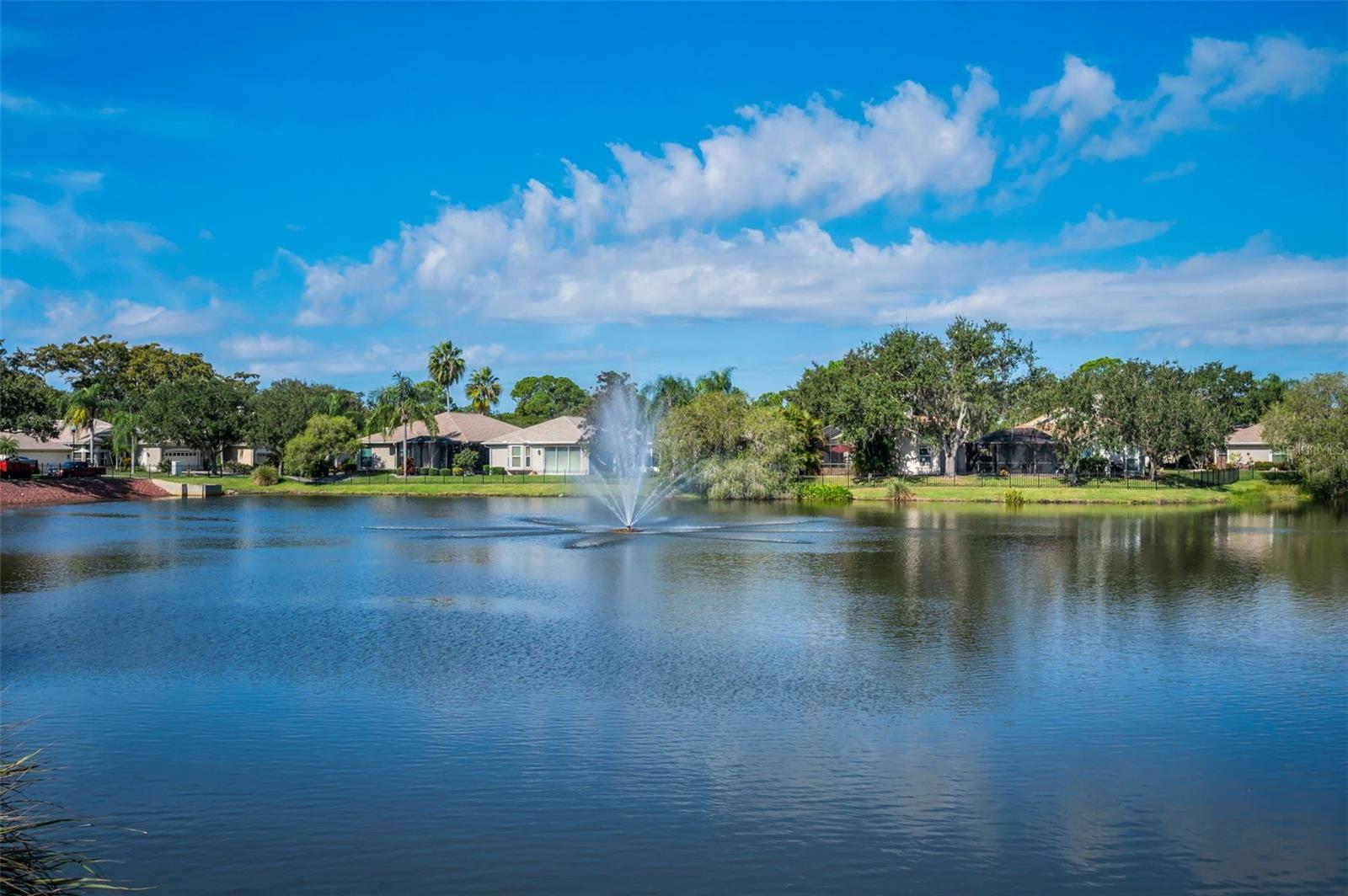 1418 WOODSTREAM DR, OLDSMAR, FL, 34677