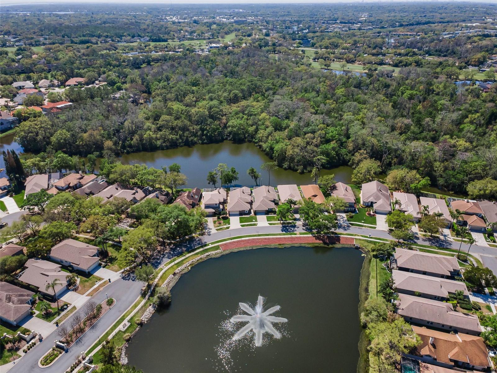 1418 WOODSTREAM DR, OLDSMAR, FL, 34677
