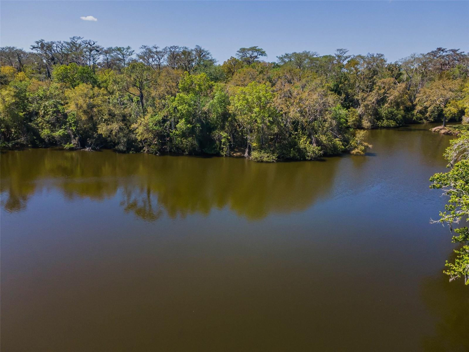 1418 WOODSTREAM DR, OLDSMAR, FL, 34677