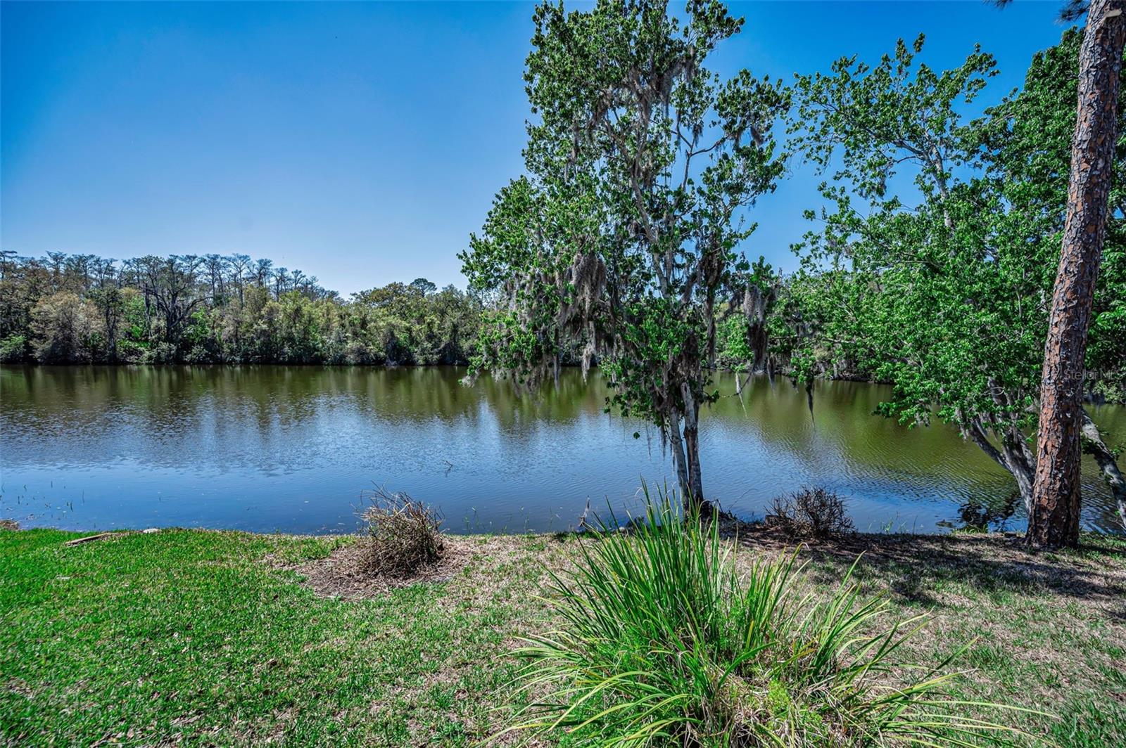 1418 WOODSTREAM DR, OLDSMAR, FL, 34677