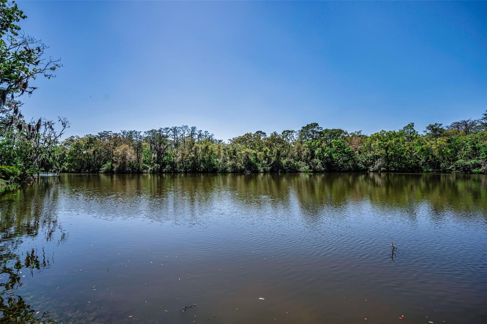 1418 WOODSTREAM DR, OLDSMAR, FL, 34677