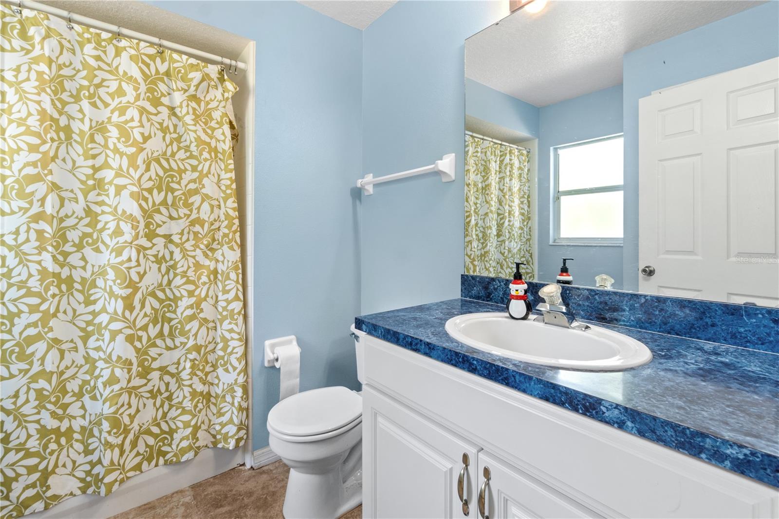 646 PARK VALLEY CIR, MINNEOLA, FL, 34715