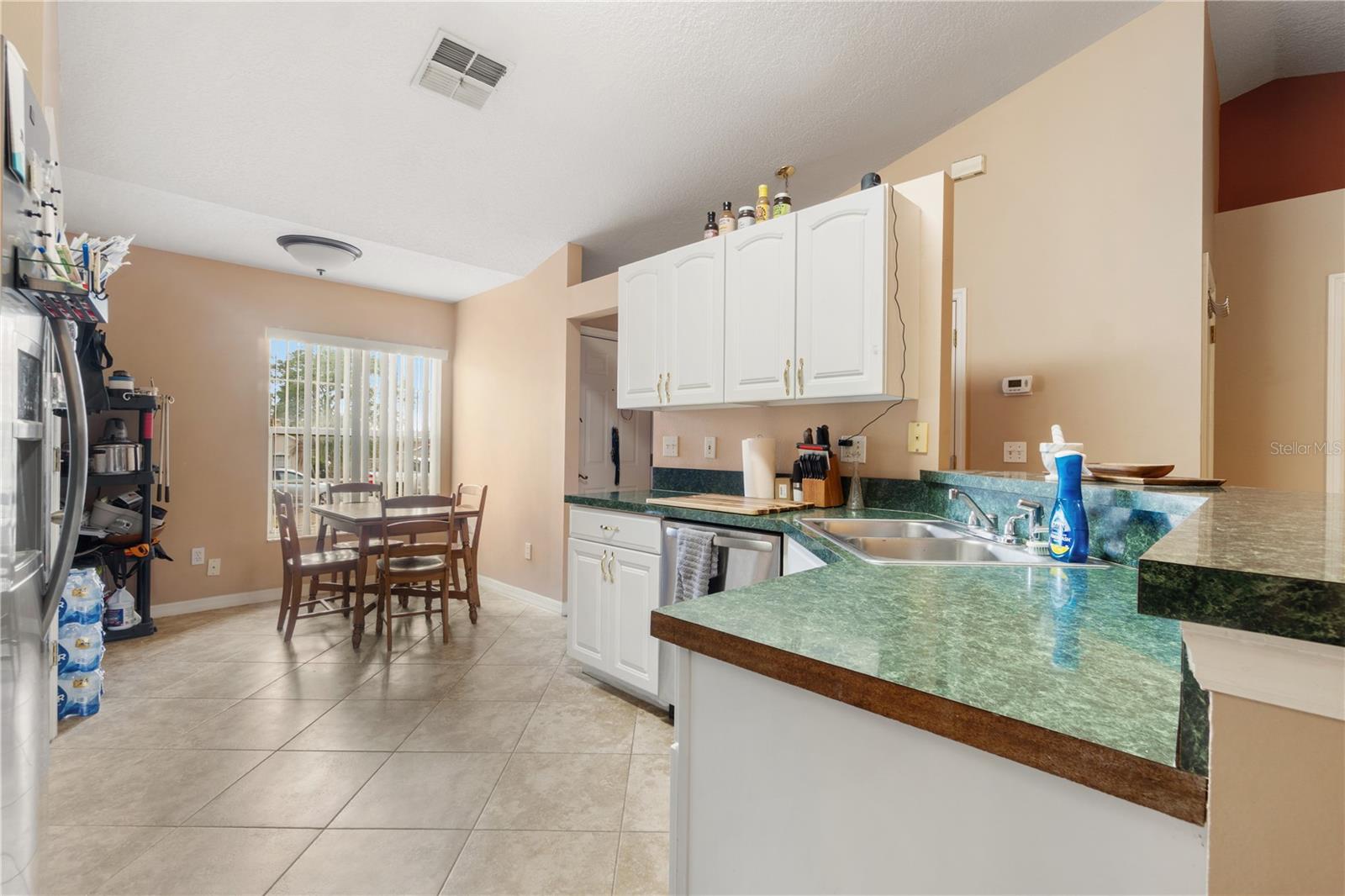 646 PARK VALLEY CIR, MINNEOLA, FL, 34715