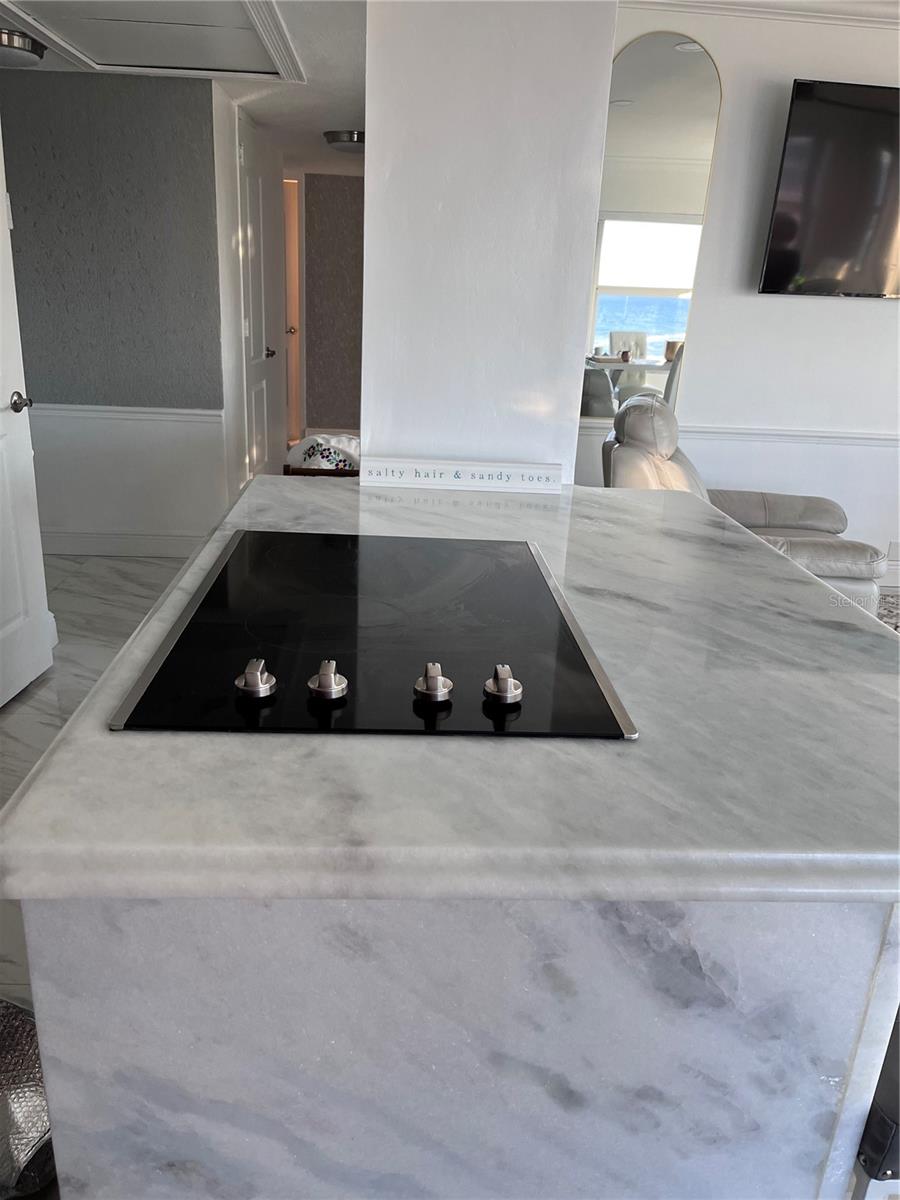 880 MANDALAY AVE #S302, CLEARWATER BEACH, FL, 33767