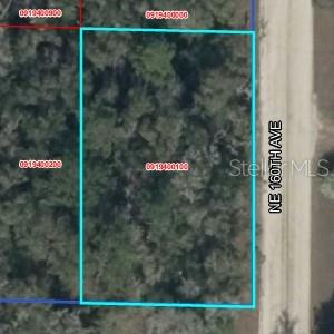 Lot 2 NE 160TH AVE, WILLISTON, FL, 32696