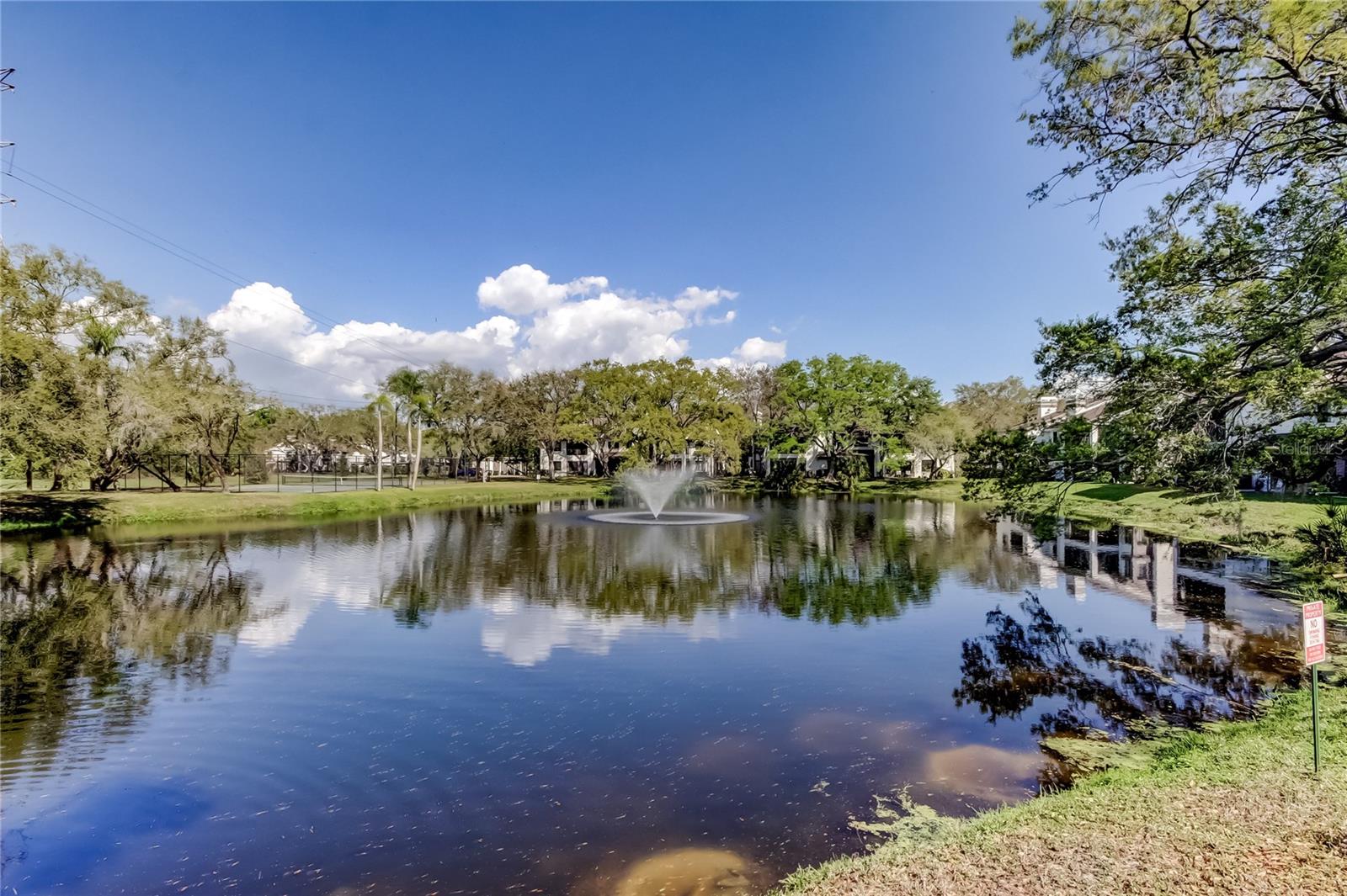 1858 LAKE CYPRESS DR #202, SAFETY HARBOR, FL, 34695
