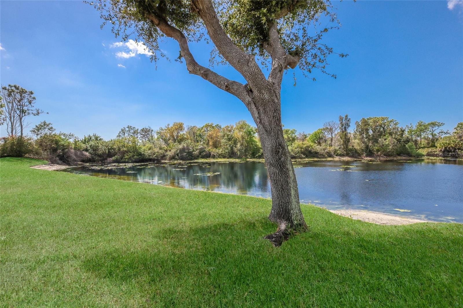 8428 MISTY MORNING CT, LAKEWOOD RANCH, FL, 34202