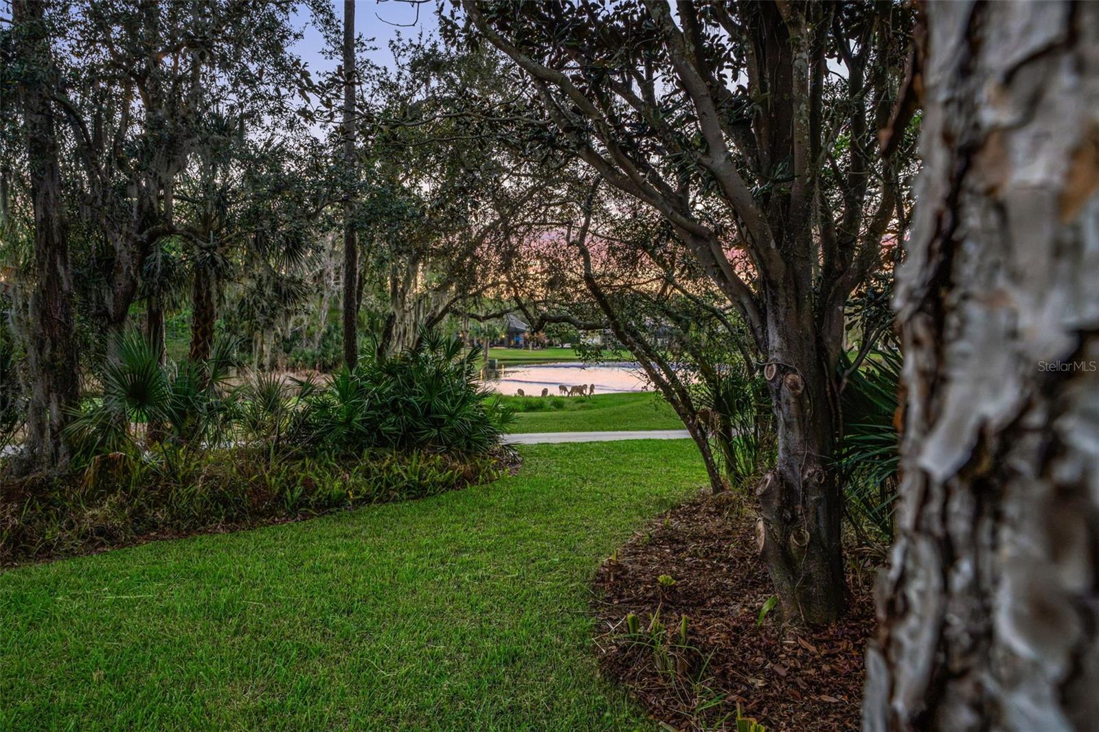 3352 PARK GROVE CT, LONGWOOD, FL, 32779