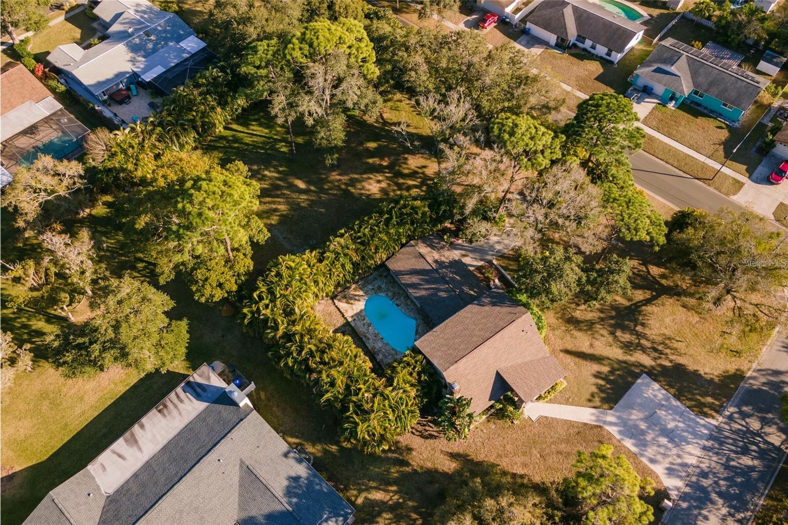 1647 HOBBIT RD, DUNEDIN, FL, 34698