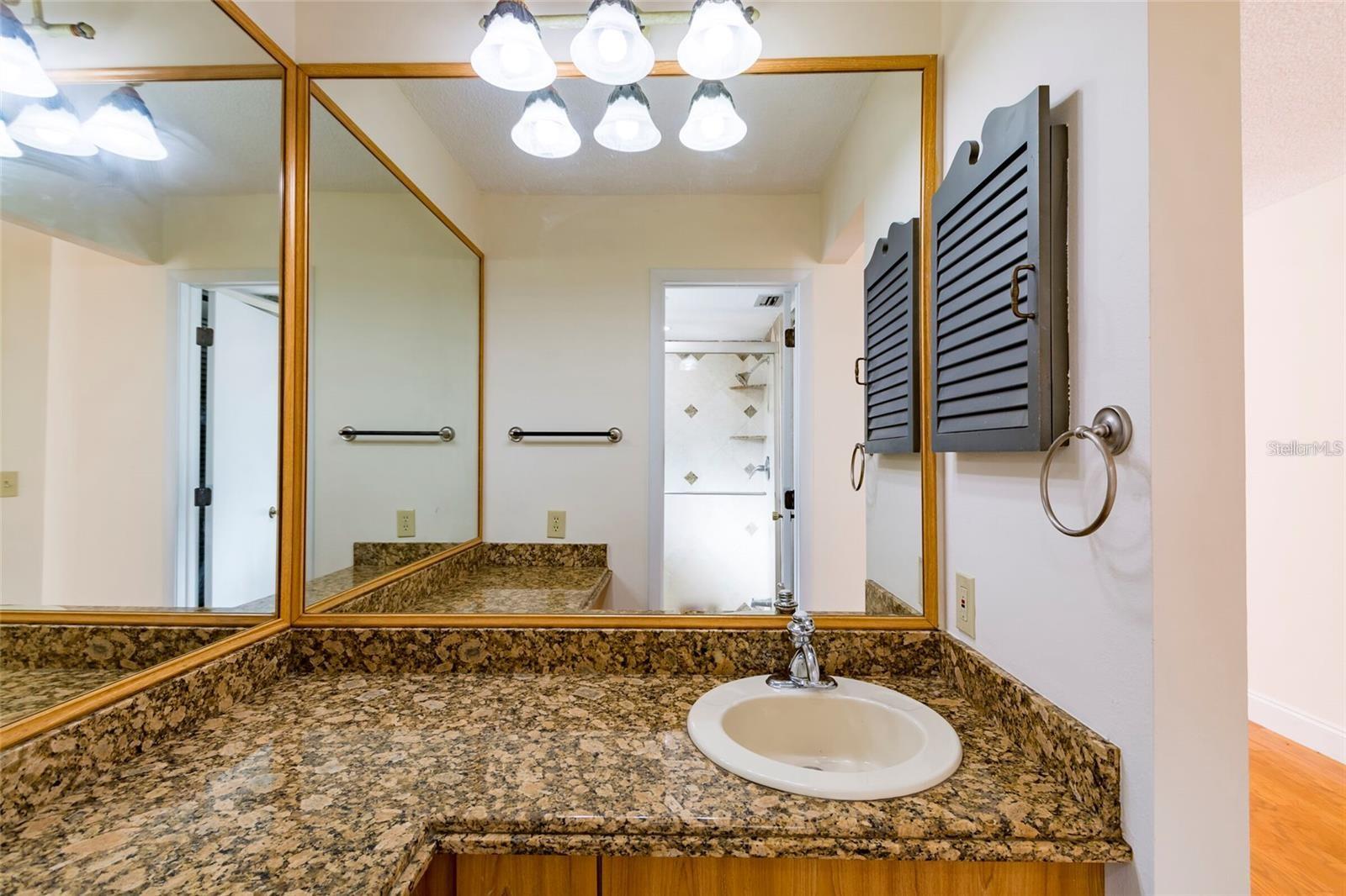 1647 HOBBIT RD, DUNEDIN, FL, 34698