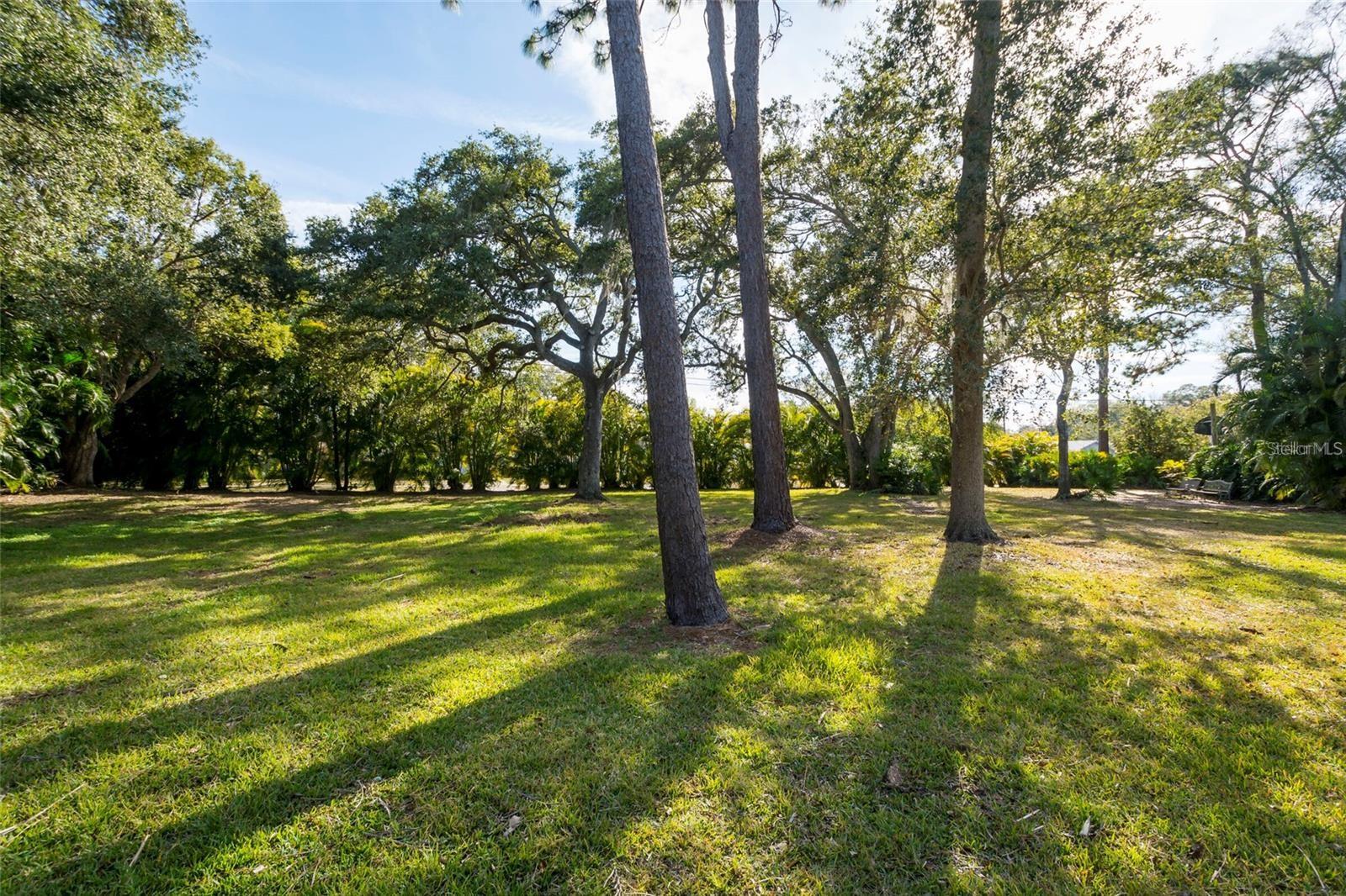 1647 HOBBIT RD, DUNEDIN, FL, 34698