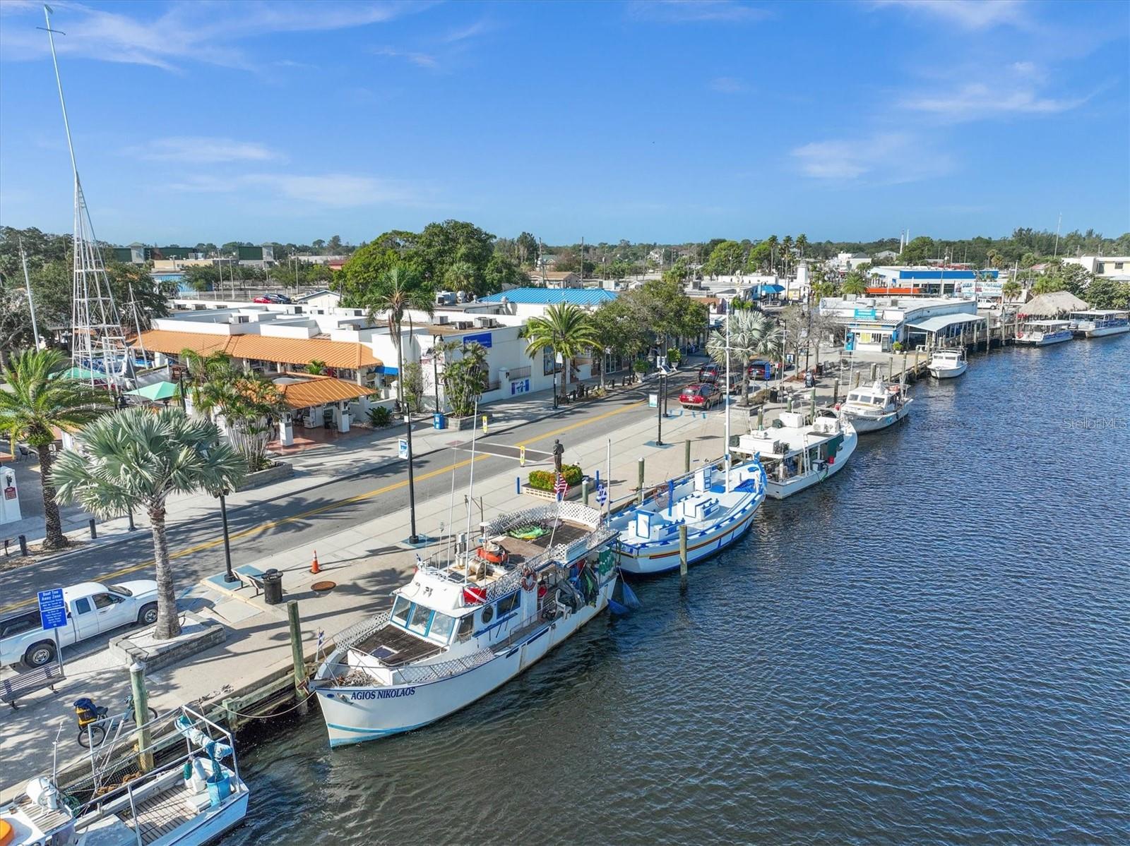 Just minutes from the Tarpon Springs Sponge Docks, a hub for dining, shopping, and local culture.