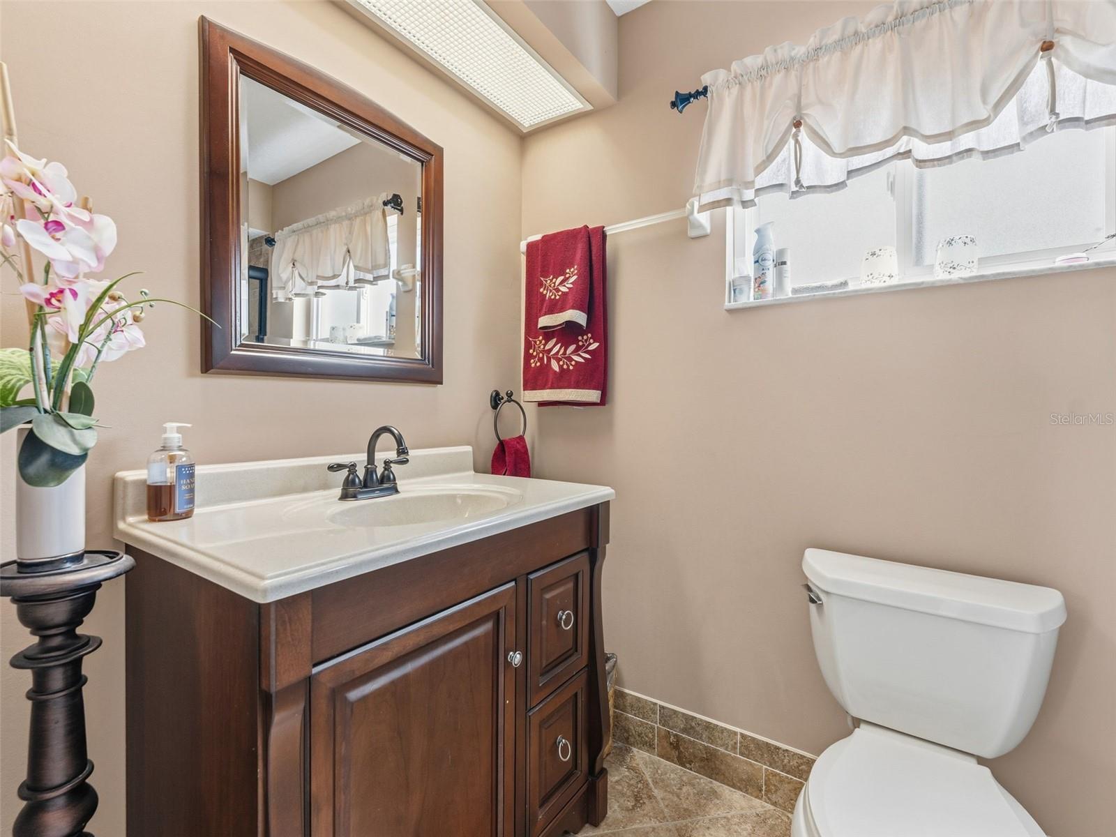1007 LA BAMBA CT, SPRING HILL, FL, 34608