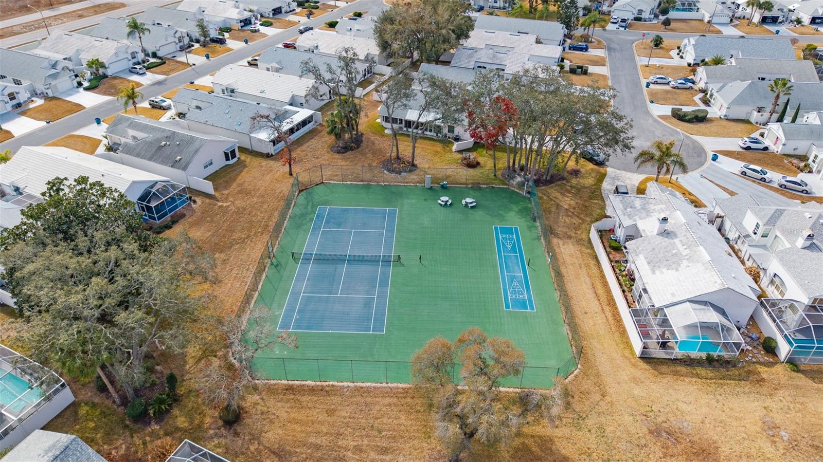 1007 LA BAMBA CT, SPRING HILL, FL, 34608