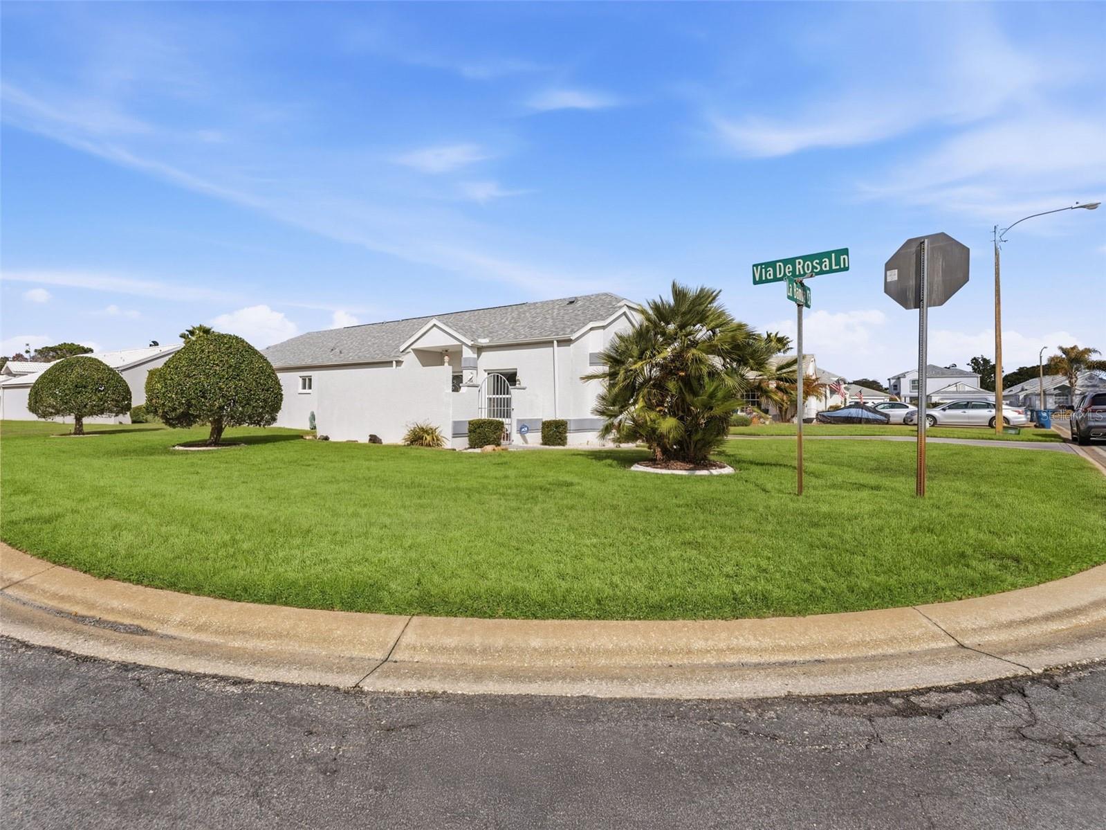 1007 LA BAMBA CT, SPRING HILL, FL, 34608
