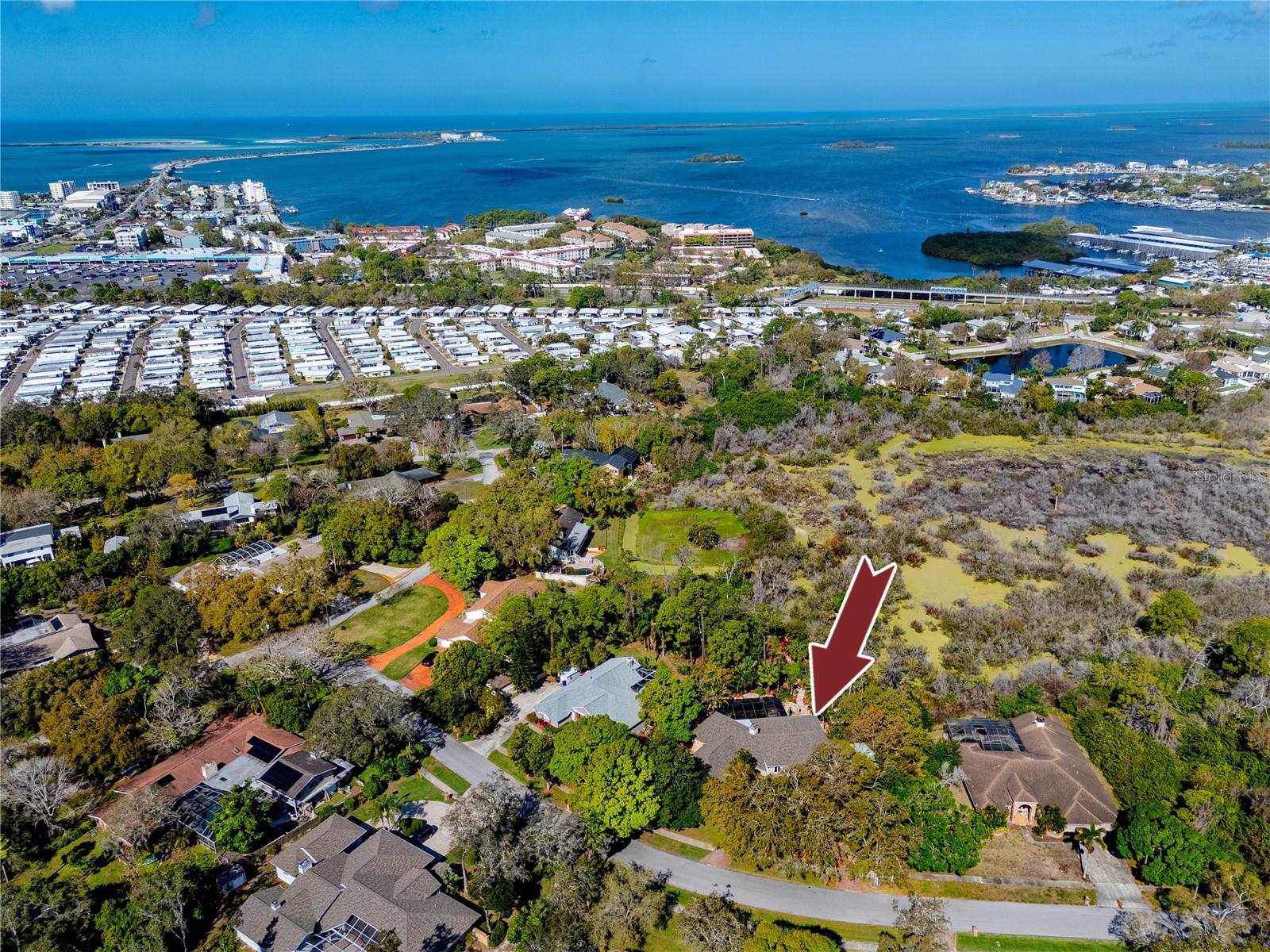 2780 LONG PUTT CT, PALM HARBOR, FL, 34683
