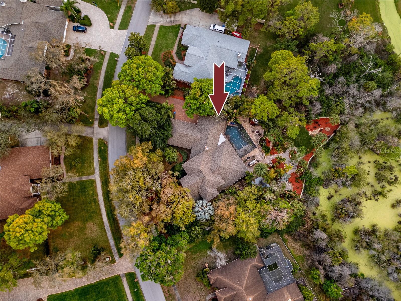 2780 LONG PUTT CT, PALM HARBOR, FL, 34683