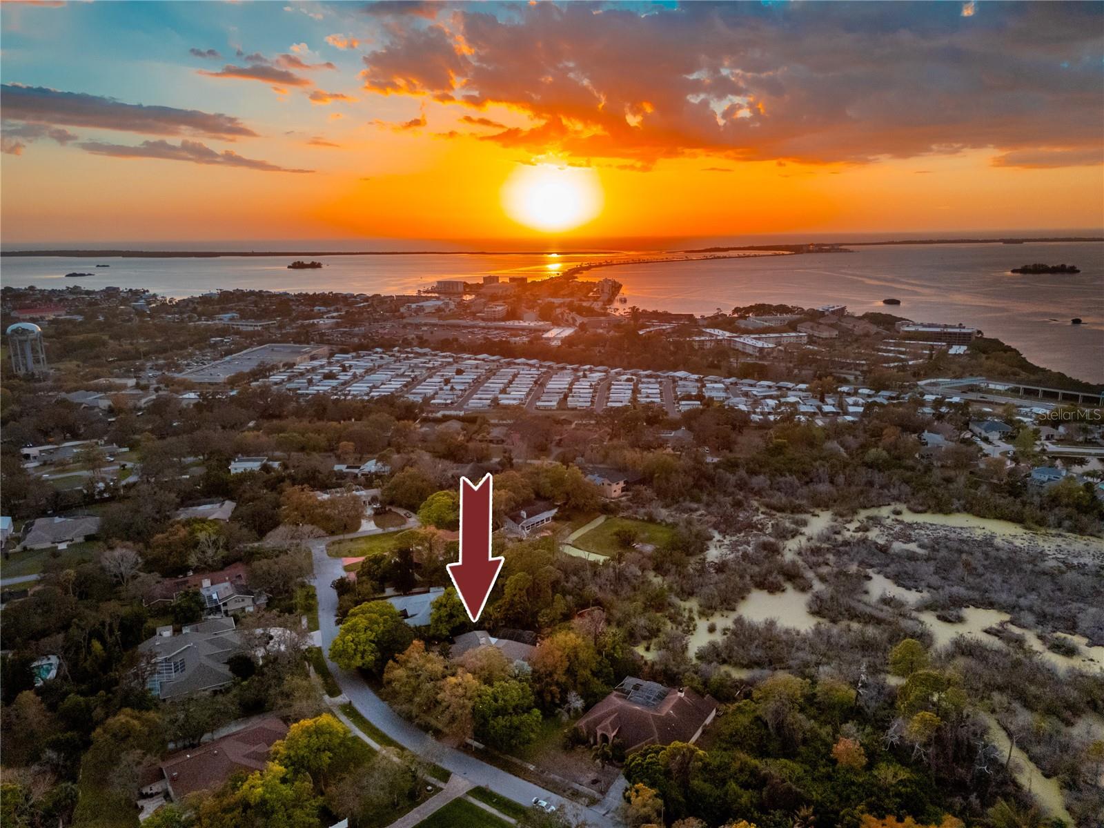 2780 LONG PUTT CT, PALM HARBOR, FL, 34683