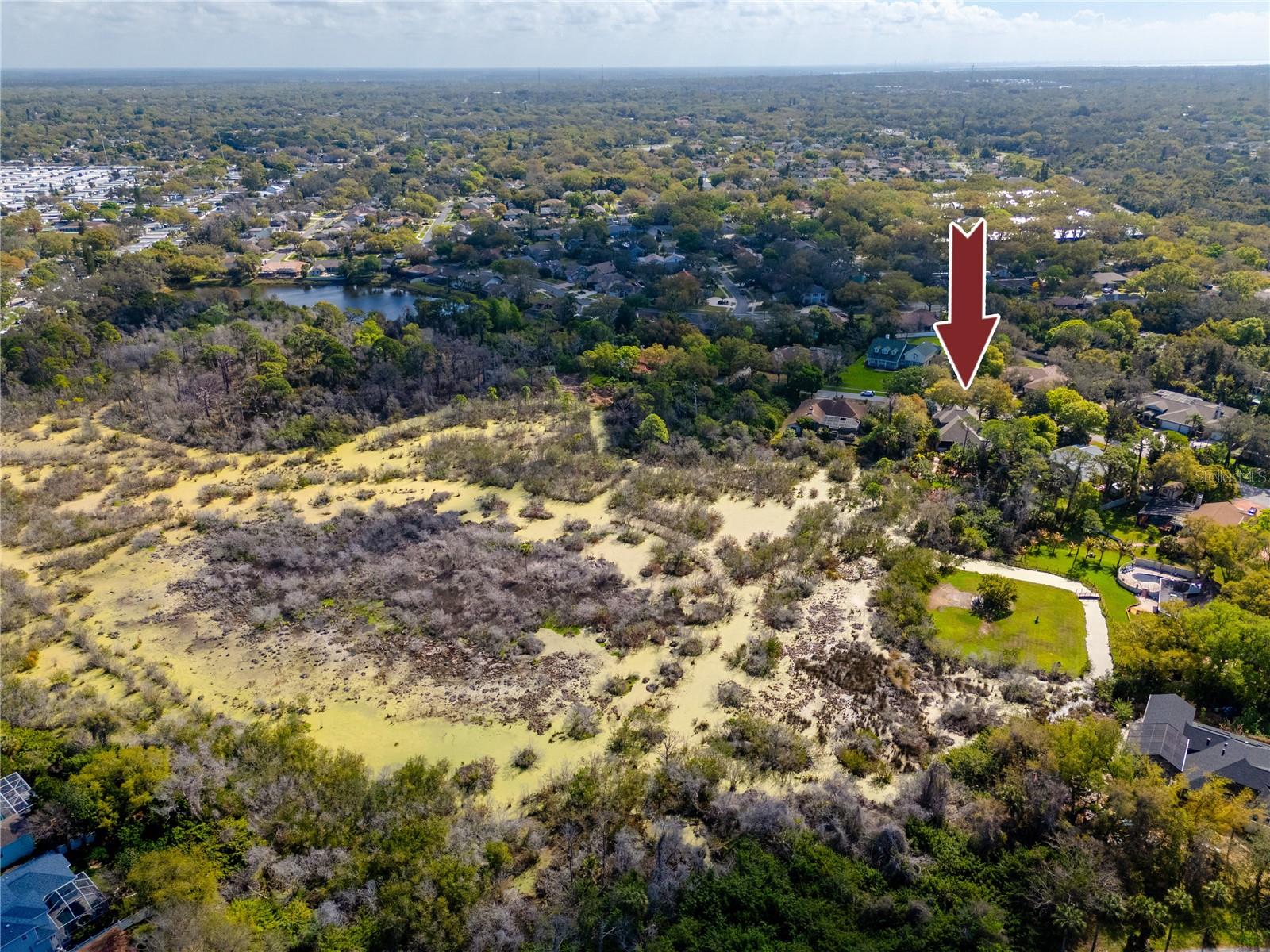 2780 LONG PUTT CT, PALM HARBOR, FL, 34683